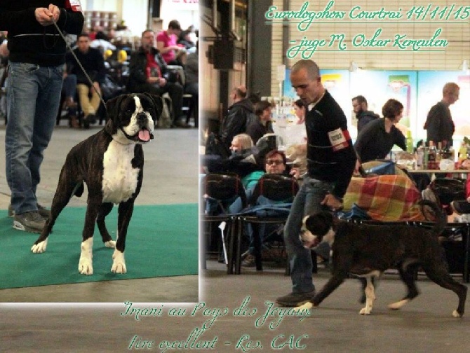 Au Pays Des Joyaux - Eurodogshow Courtrai 14/11/15