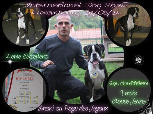 Au Pays Des Joyaux - DOG SHOW 89 Th Int. Dog Show Luxembourg