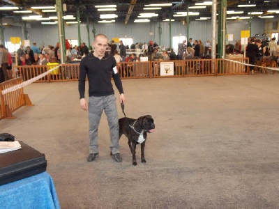 Au Pays Des Joyaux - Résultat Expo de Maubeuge 14/04/2013