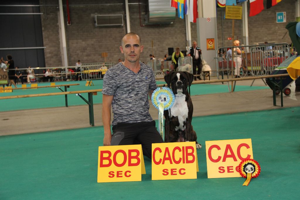 Au Pays Des Joyaux - Mia au Pays des Joyaux  BOB Expo de Liège Juillet 2018