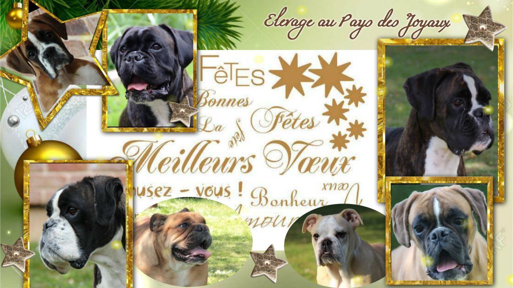 Les montages en folies